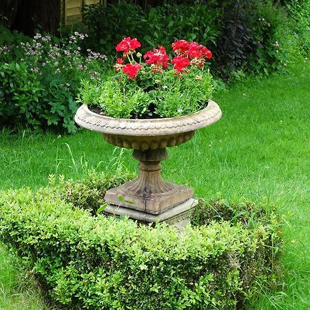 Three Ivy Cross Shaftesbury Exterior foto